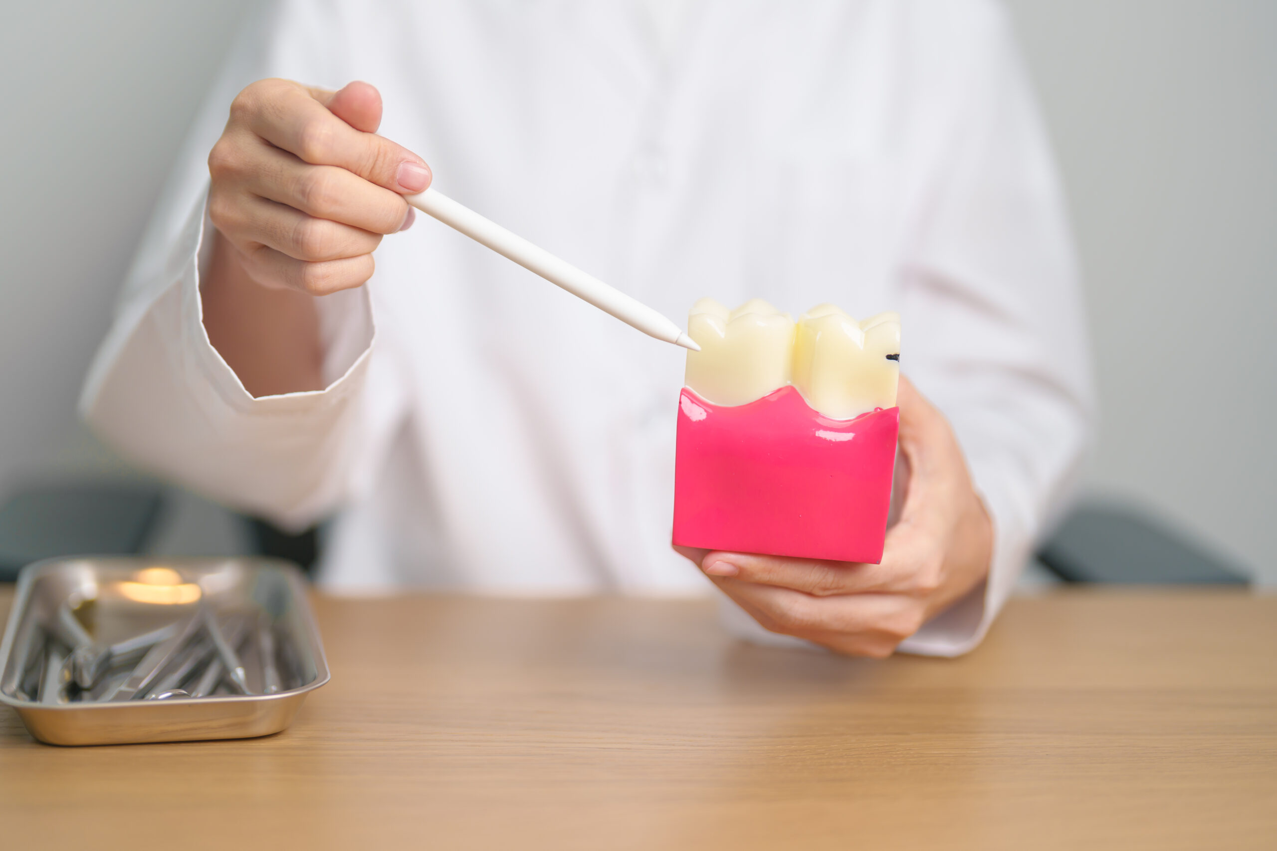 Dentist holding a tooth model and pointing to enamel area to explain how diet and bacteria affect dental health